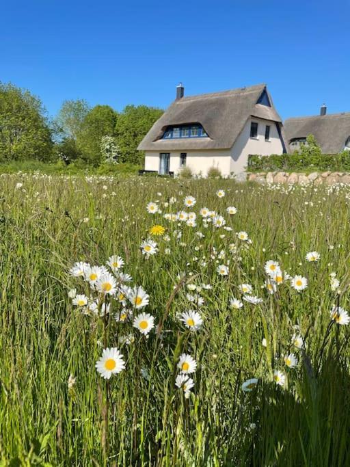 Stilvolles Reetdachhaus Coastline An Der Ostsee Groß Schwansee Exteriér fotografie