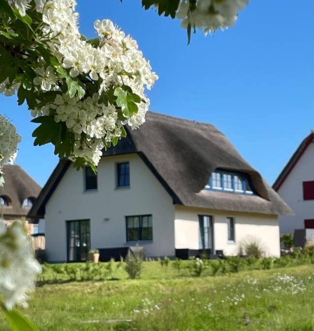 Stilvolles Reetdachhaus Coastline An Der Ostsee Groß Schwansee Exteriér fotografie