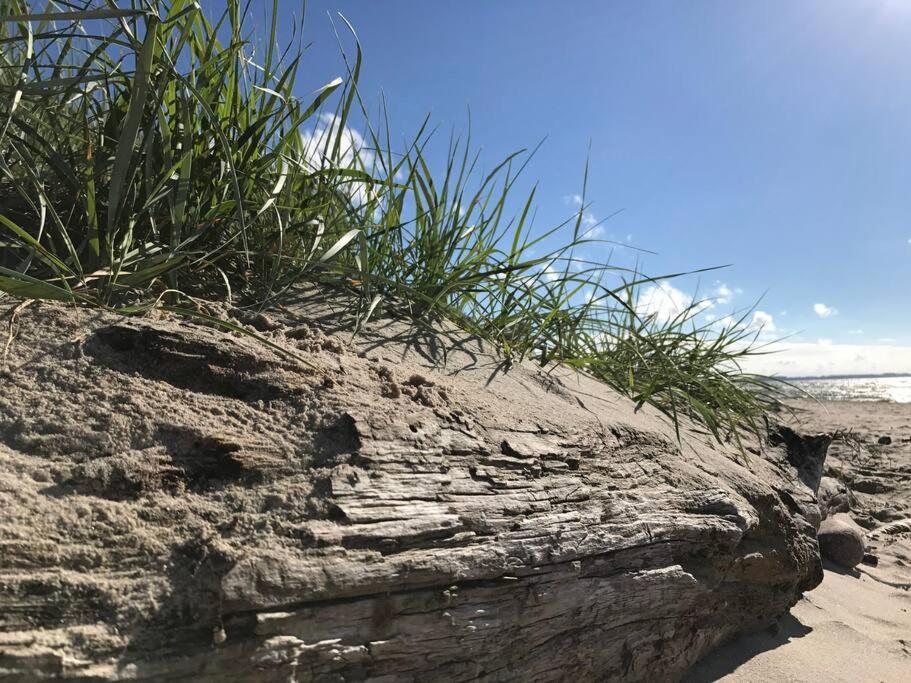 Stilvolles Reetdachhaus Coastline An Der Ostsee Groß Schwansee Exteriér fotografie