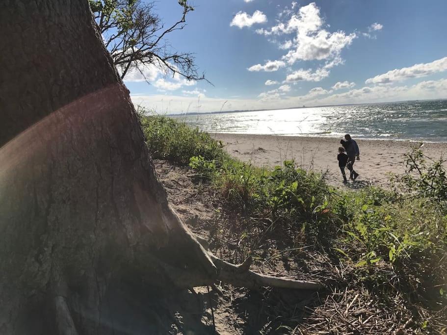 Stilvolles Reetdachhaus Coastline An Der Ostsee Groß Schwansee Exteriér fotografie